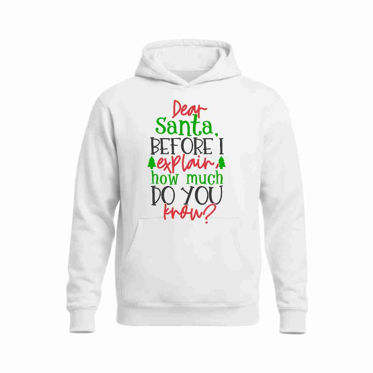 Graphic Hoodie