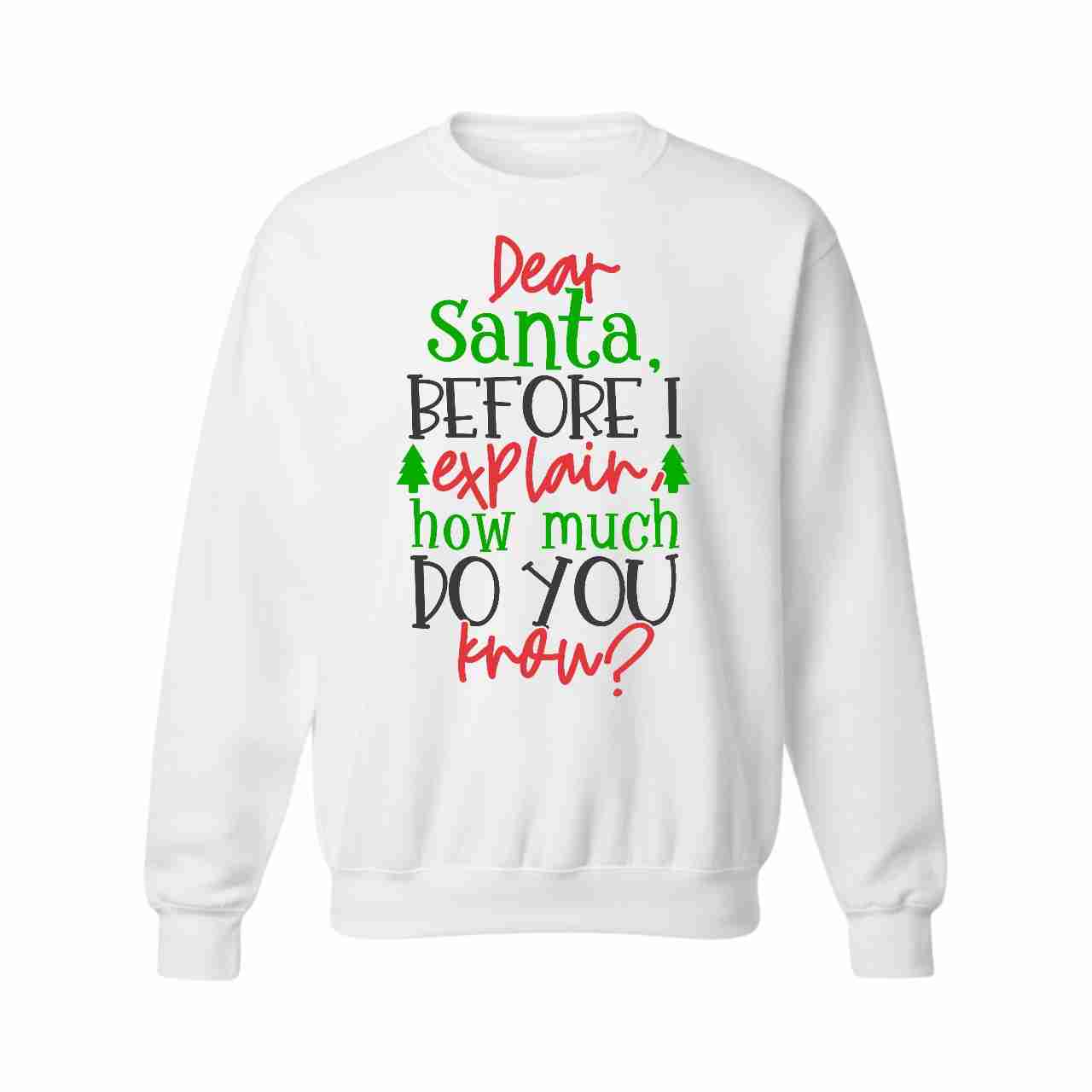 "Dear Santa, Before I Explain..." Graphic Hoodie or Sweatshirt - Image 2
